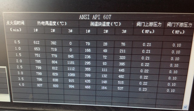 閥門API耐火測試(圖3)